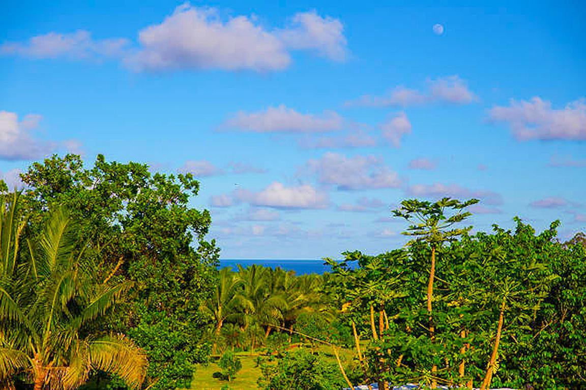 Kirpal Meditation And Ecological Center Pahoa Eksteriør billede