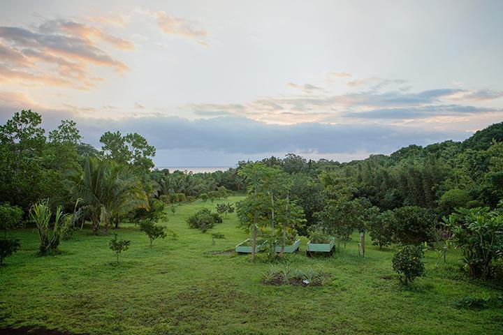 Kirpal Meditation And Ecological Center Pahoa Eksteriør billede